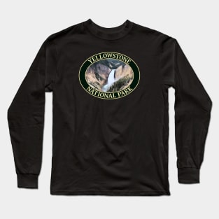 Yellowstone Falls at Yellowstone National Park in Wyoming Long Sleeve T-Shirt